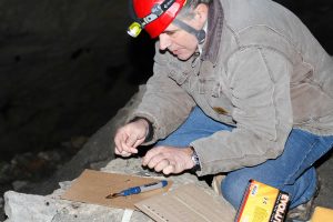 Craig Frank conducting field studies on bats in an abandoned mine in upstate New York. Contributed photo 
