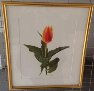 "Tulipa" by Marie Murray
