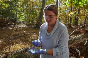 Erin Carter collects a sample of a swab taken from the skin of a salamander.