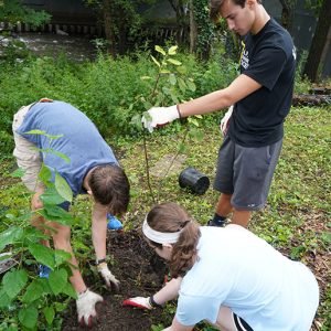 Students planted trees throughout the garden. 